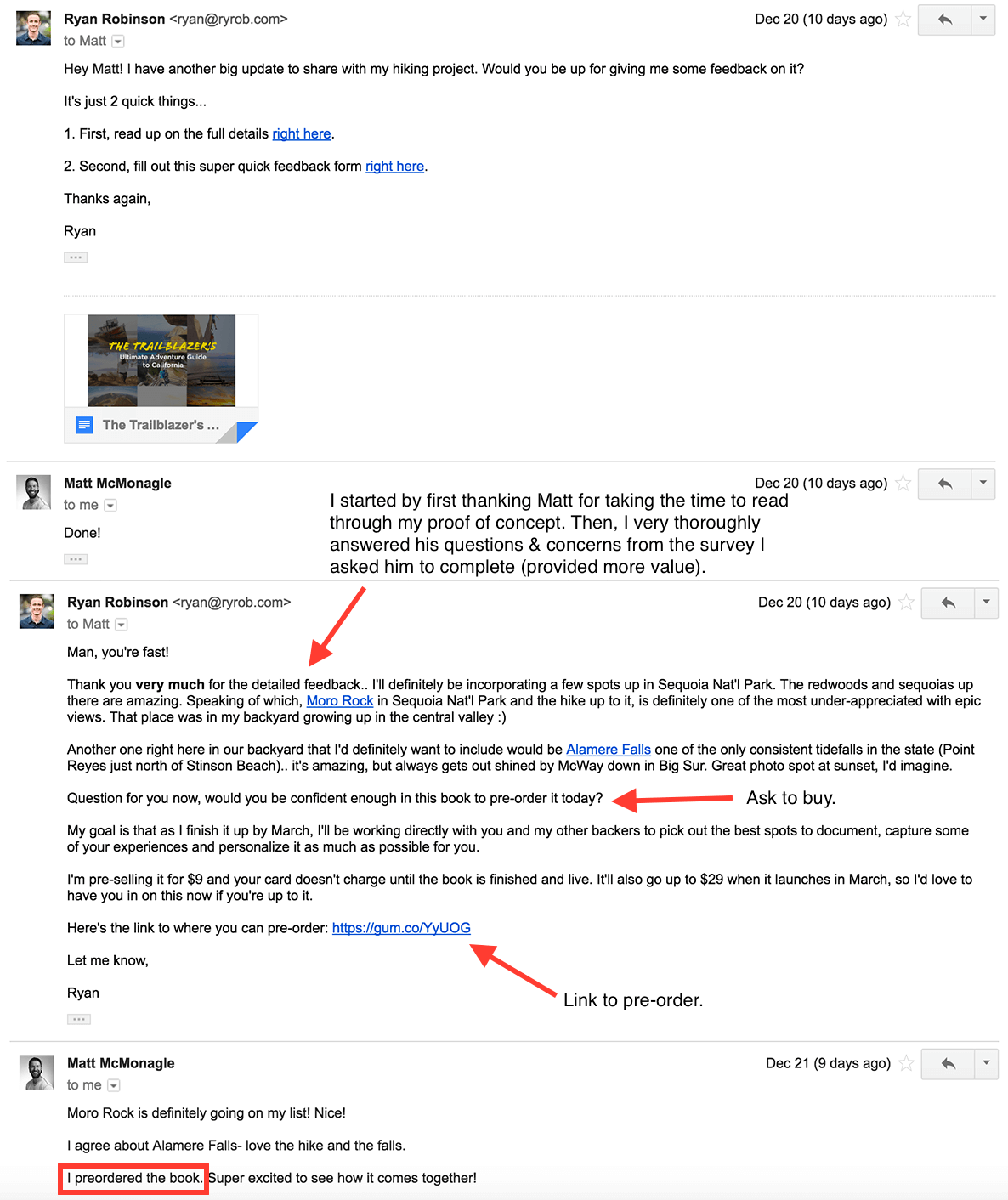 validate-business-idea-matt-preorder-email