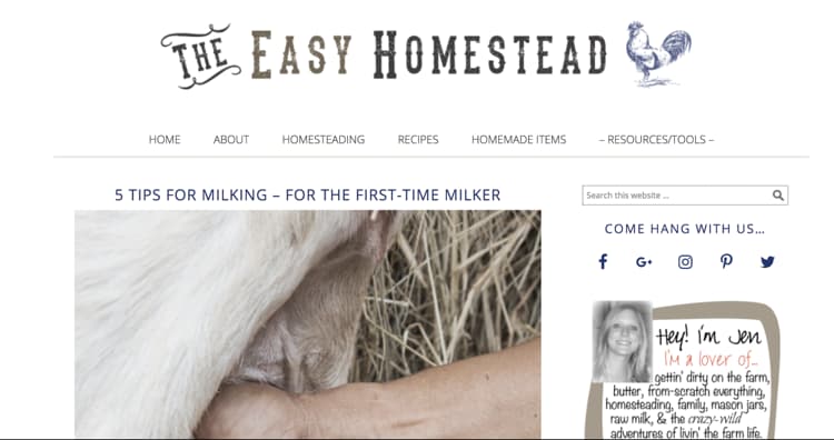 How to Name Your Blog Example The Easy Homestead